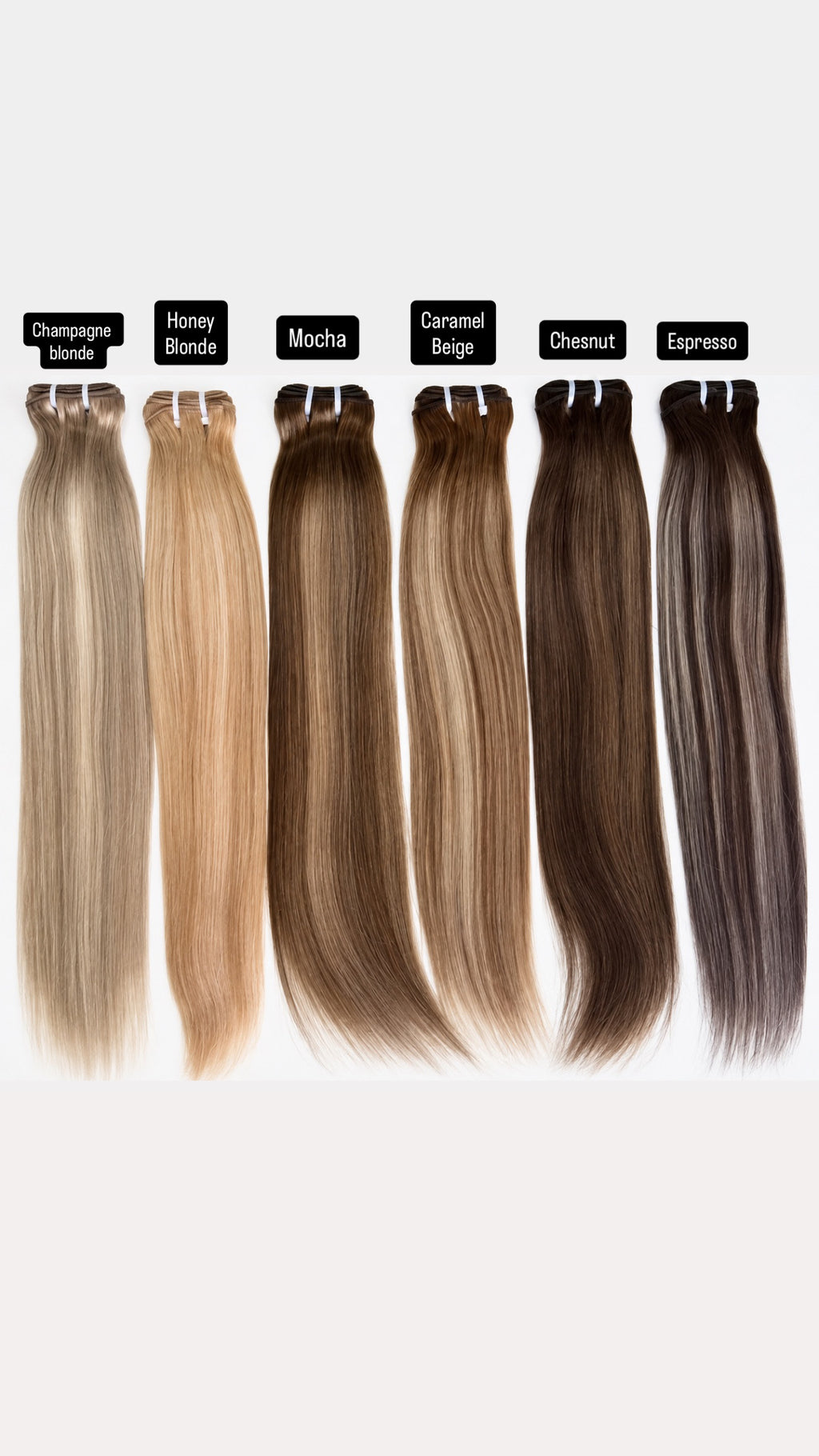 Balayage HD Frontals & Closures