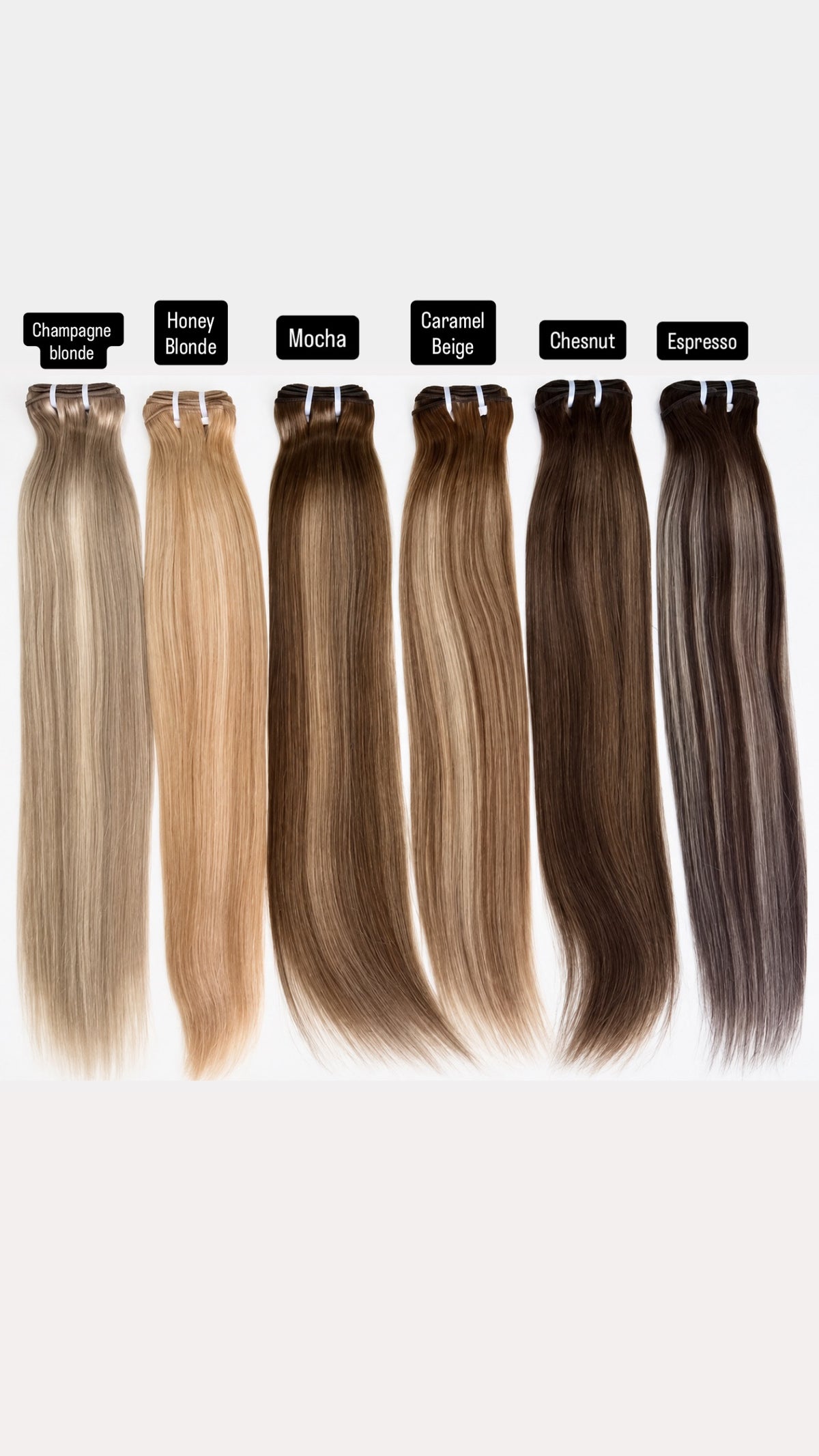 Pré-Colored Bundle