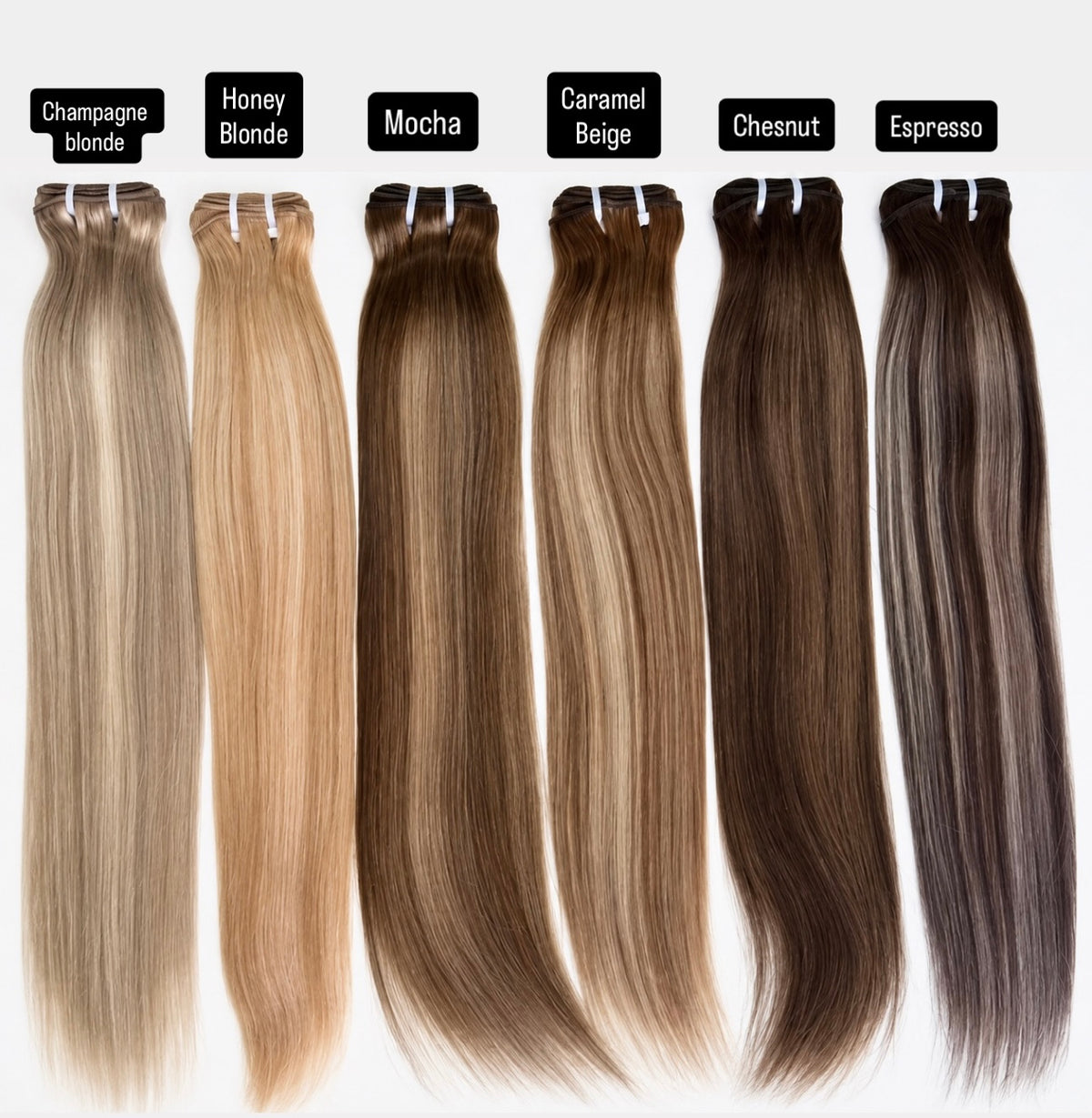 Pré-Colored Bundle