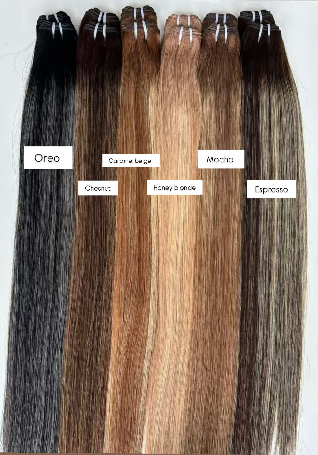 Balayage HD Frontals & Closures